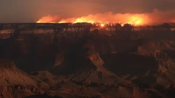 «Не повторяйте наших ошибок!» 100 лет борьбы с лесными пожарами обернулись катастрофой для США