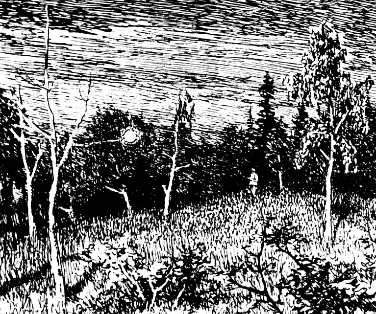 Встречи с неведомым: завершаем чтение дневников разведчика и писателя Владимира Арсеньева