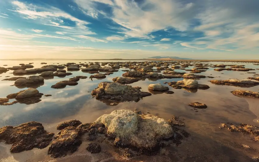 Мощнее леса в десятки раз: в ЮАР нашли «живые камни», которые выкачивают CO₂ с бешеной скоростью