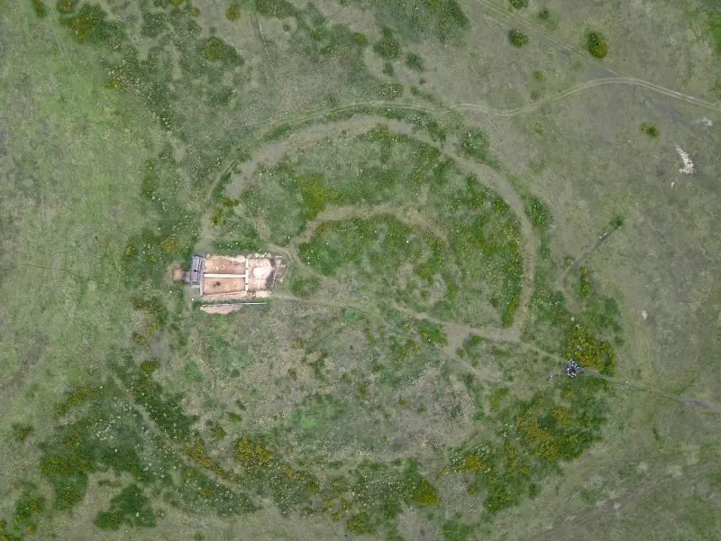 ДНК 4000-летней овцы оказалось ключом к древней тайне, стоившей жизни миллионам