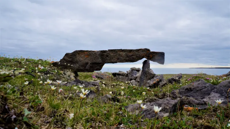 3500-летние рисунки на камнях российского острова Вайгач грозят переписать древнюю историю Арктики