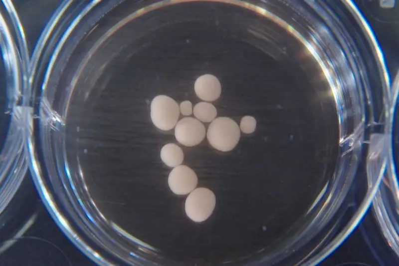 Грядет научный прорыв: Зачем в последние годы ученые по всему миру создают очень странные компьютеры?