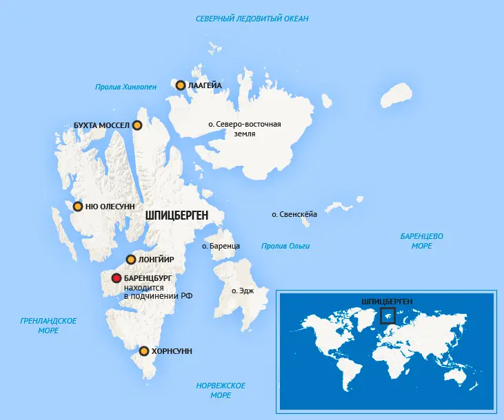 Вымирание откладывается: белые медведи на этом острове стремительно набирают вес
