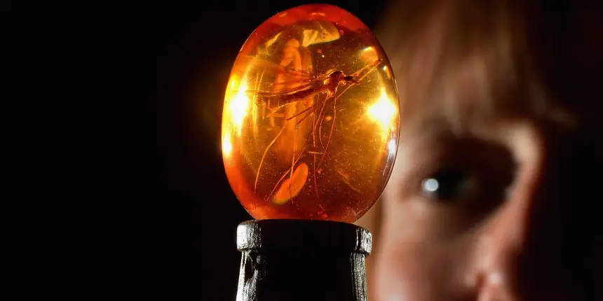 Главная идея фильма «Парк юрского периода», которую наука считала фантастикой, оказалась очень даже реальной