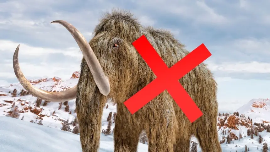 Минус два мамонта: древние кости 70 лет «водили за нос» сотрудников музея на Аляске