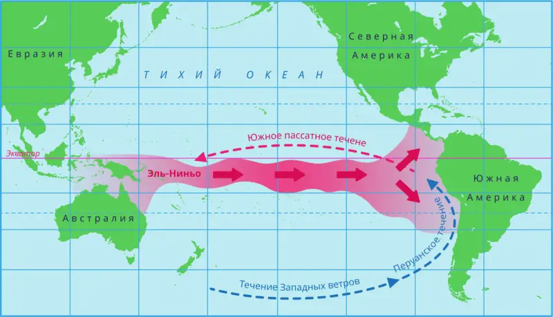 Оказывается, Эль-Ниньо добрался до Русского Севера: Чем это грозит остальной России?