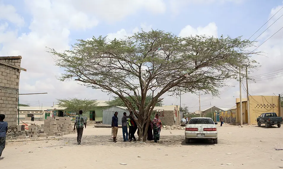 На политических картах не значится: как живет самое непризнанное государство на планете?