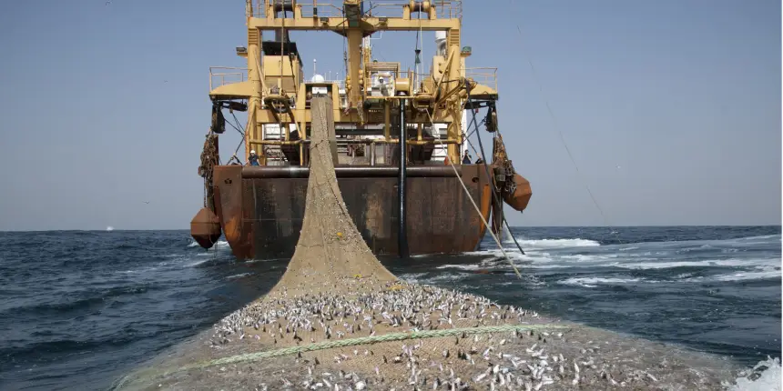 Немедленно запретить «украинский» трал в Азовском море: почему российские ученые предлагают вернуться к советским технологиям?