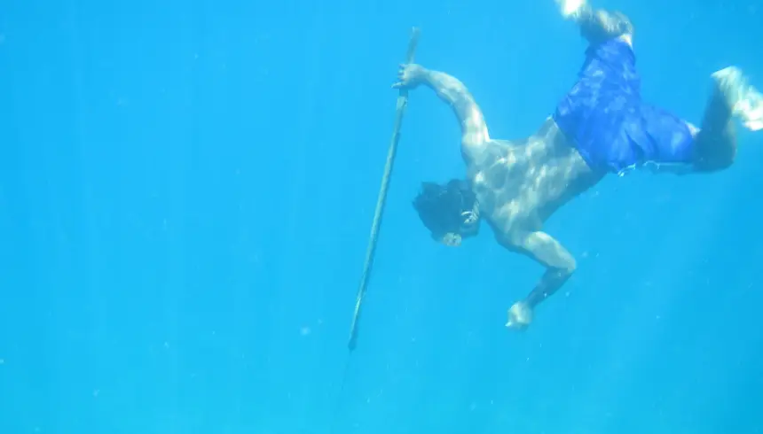 Разгадан секрет непревзойденных индонезийских ныряльщиков-баджо: они «прокачали» секретный внутренний орган