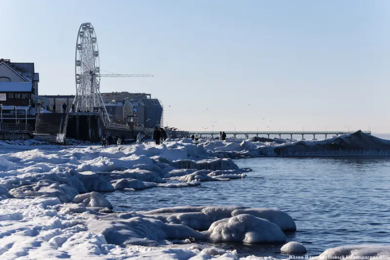 Куда уходит Балтийское море: российский океанолог объяснил, как работает уникальный феномен