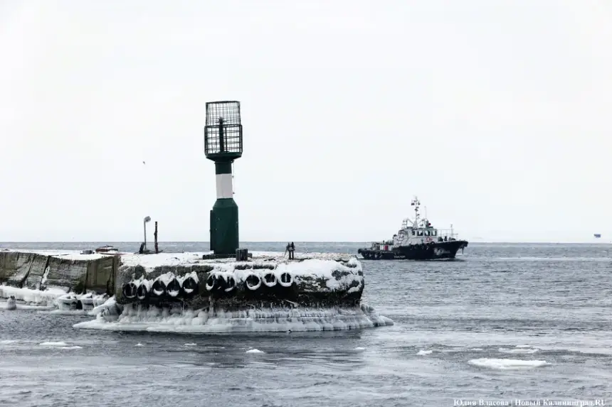 Куда уходит Балтийское море: российский океанолог объяснил, как работает уникальный феномен