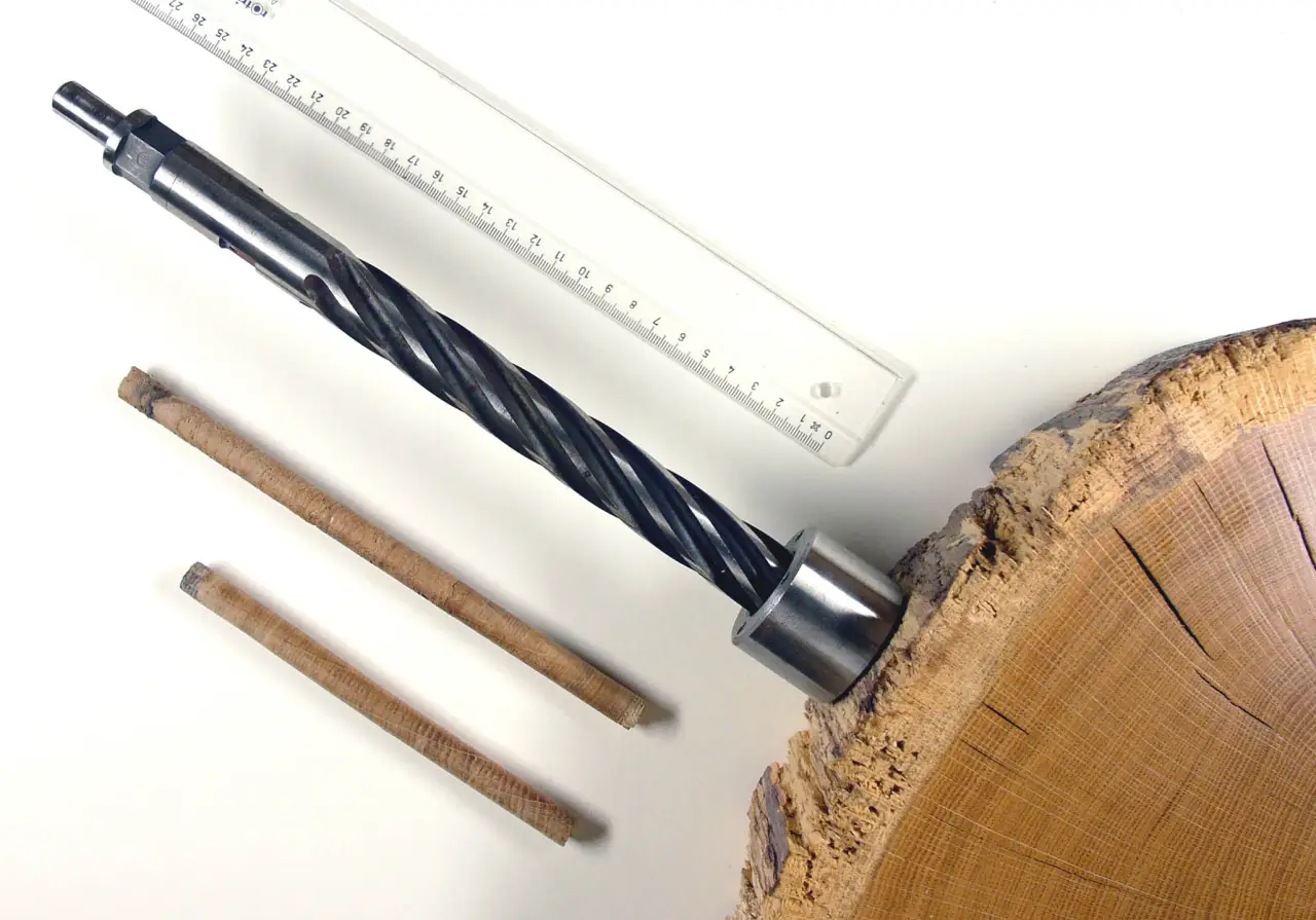 300-летний секрет «золотых» скрипок Страдивари наконец-то разгадан?