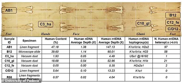 Анализ ДНК с Туринской плащаницы сильно удивил ученых, точнее, даже озадачил