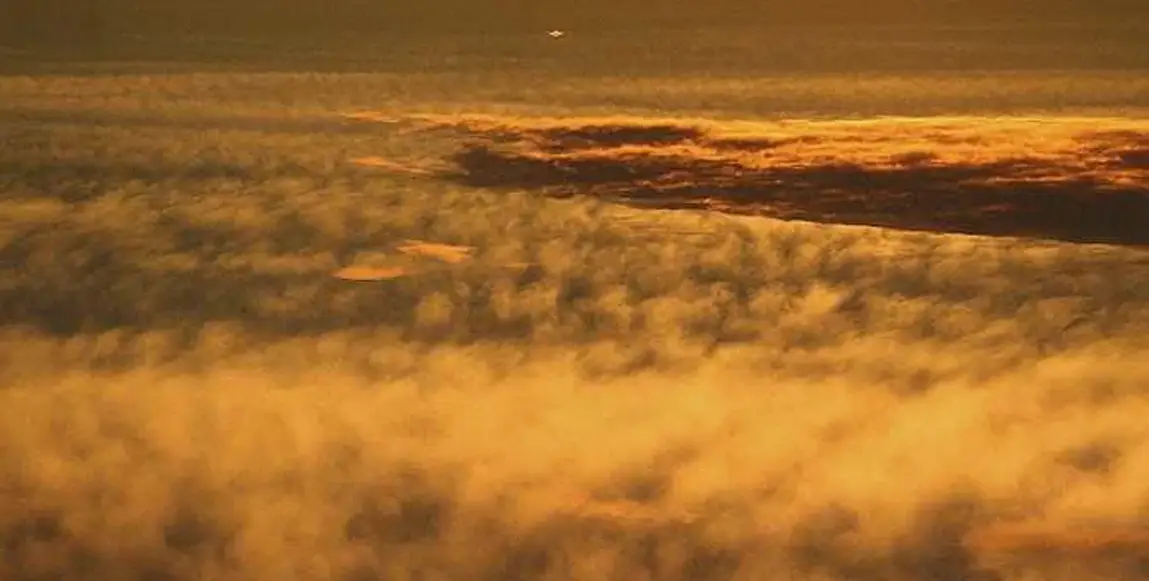 На Венере, вероятно, есть жизнь: угадайте, как и откуда она туда попала?