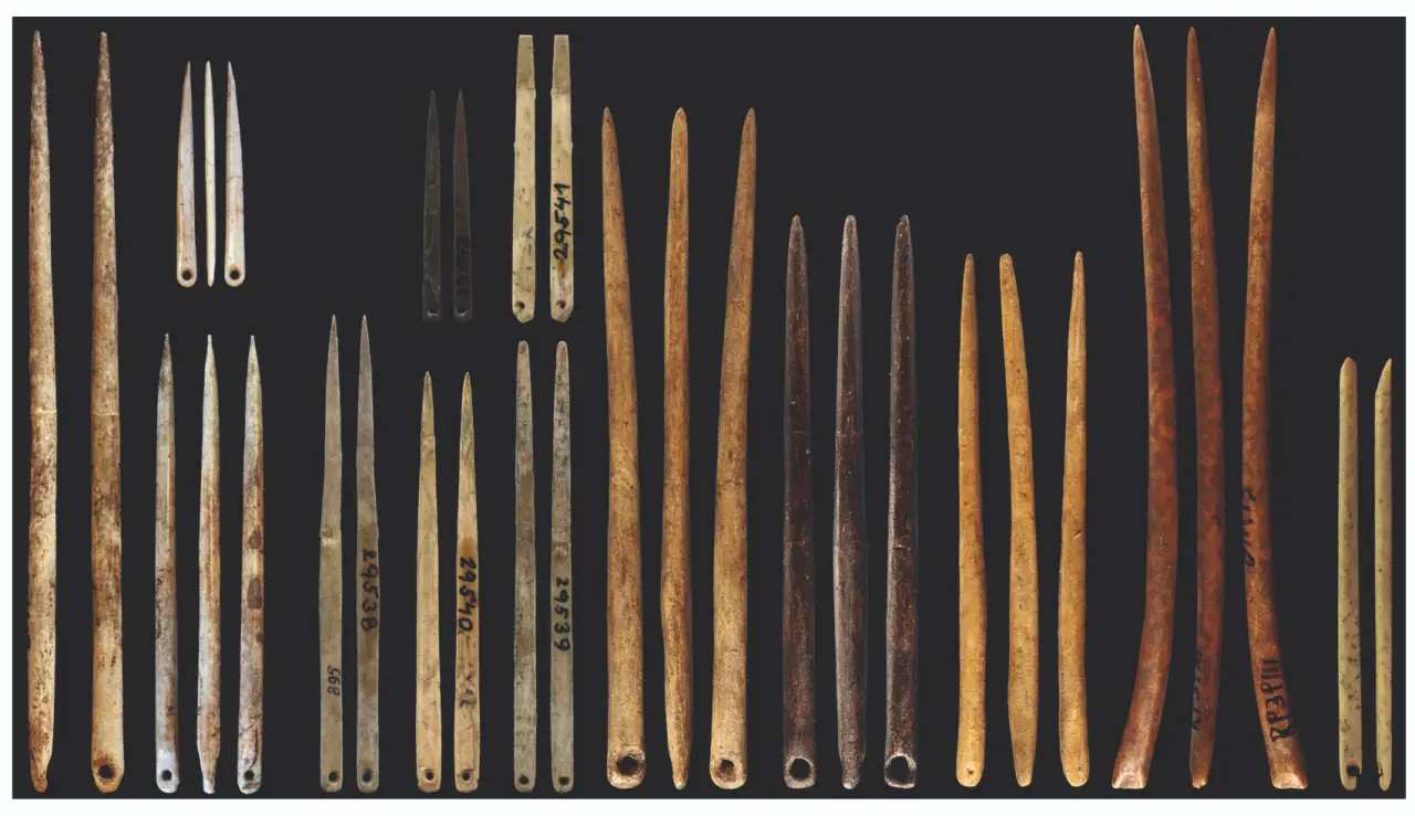 100 000-летняя загадка: ученые назвали предмет, благодаря которому люди сумели заселить всю планету