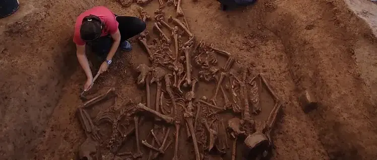 7000-летняя загадка: полный ров обезглавленных скелетов обнаружен в Словакии