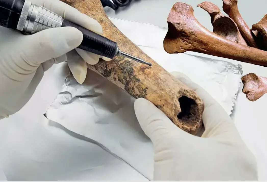 5000 лет исторической тайны: кто жил на Дону до славян, рассказали археологи