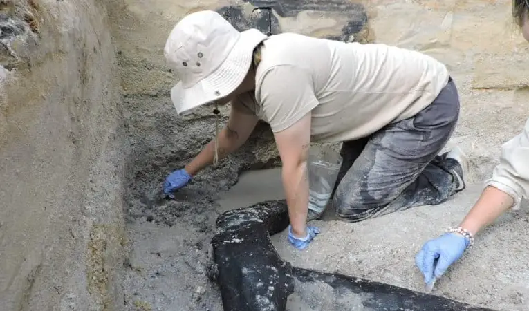 Деревянной конструкции... 500 тысяч лет: его построили не Homo Sapiens. Но тогда кто?