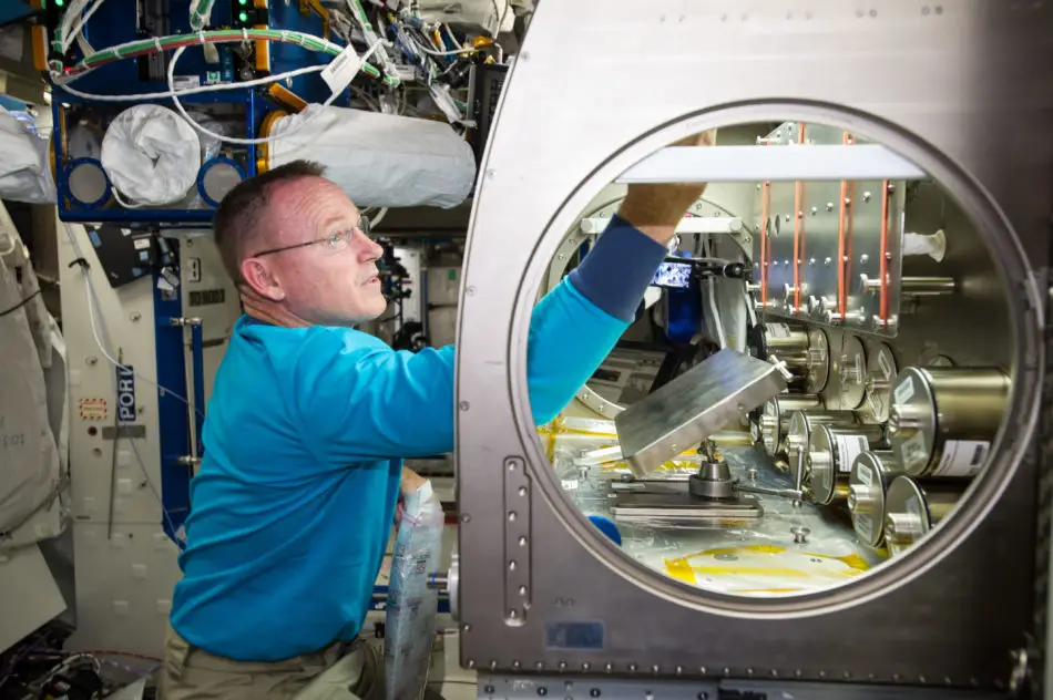 NASA показало невероятные кристаллы, растущие на МКС: что там вообще происходит?