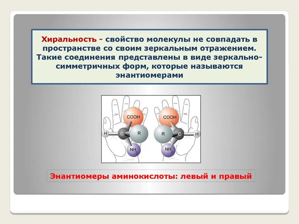 Зеркальная жизнь — новая угроза для человечества: способ ее обнаружить уже имеется, но есть нюансы